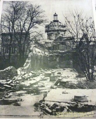 Однако Маргарет Кюн, тогдашний директор 