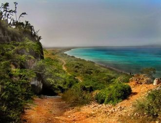 Тропическая пустыня: Национальный парк J