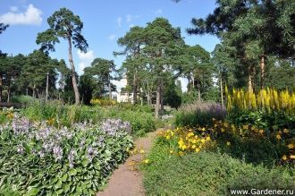 Перед церковью, примыкая к улице Руотсин