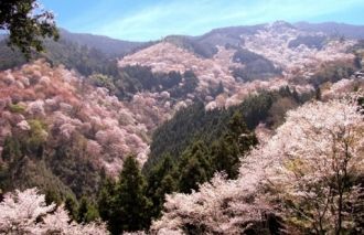 Основные достопримечательности можно объ