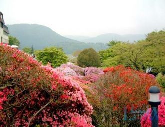 В долине горы большое количество горячих