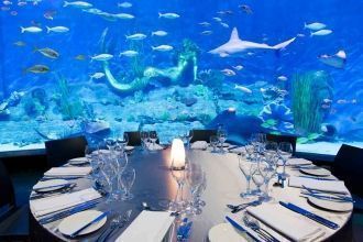 Для того чтобы создать обитателям этого 