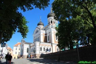 Строительство кафедрального собора шло д