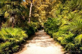 Все великолепие Приморского парка дополн