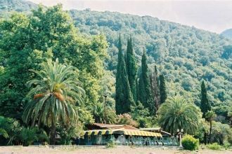 Вокруг дорожек, разбитых по всему парку,