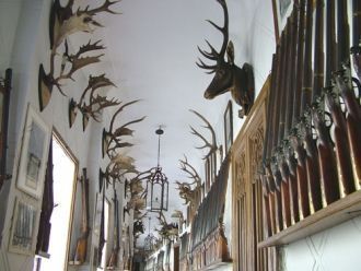 Эта домашняя галерея насчитывает более 3