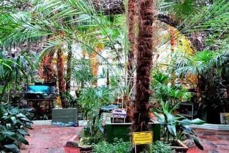 Зимний сад. Его площадь составляет около