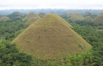 Одна версия ученых гласит, что такой ест