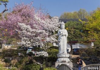 Время основания храма в 794 году связано