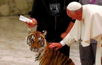 Папа Римский встретился с цирковыми арти