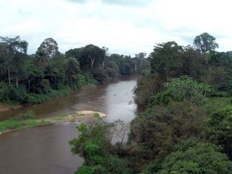 Реки в Национальном парке Комоэ.