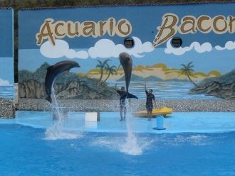 Для маленьких посетителей занимательным 