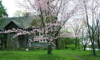 Японский уголок в парке Вингис.