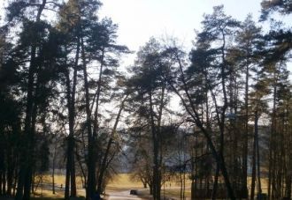 Красота парка Вингис.