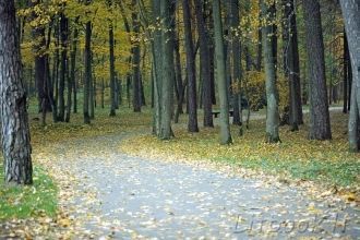 Осенние аллеи парка Вингис.