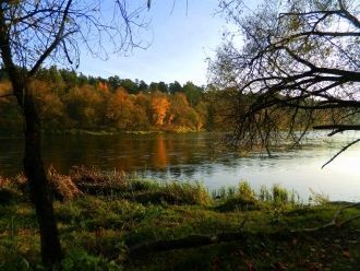 Парк Вингис (Vingio parkas) или, как его