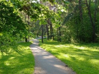 Лето в парке Вингис.