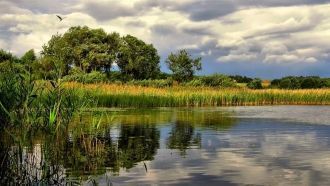 Парк одарен множеством родников, долиной