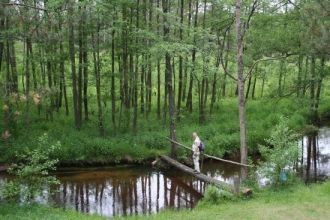 В путешествие здесь можно отправиться во