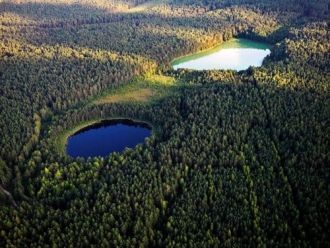 Вид сверху на Заповедник Жувинтас.