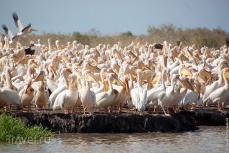 Орнитологический резерват Джудж располож