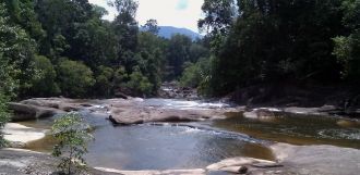 Данный заповедник является одним из немн