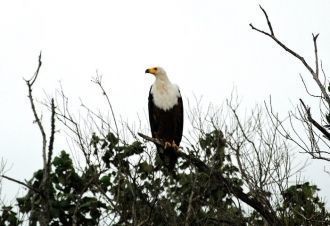 В 1897 году часть Санта Лючии стала запо