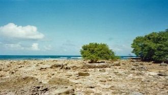 Черепаховые острова (Селингаан, Баккунга