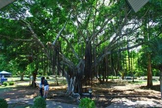 Вокруг горы разбит небольшой парк с троп