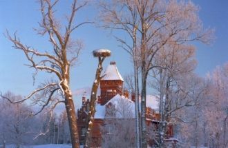 Яунмокский дворец зимой.