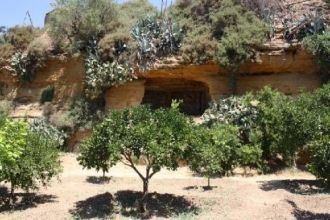 Сад Колимбетра (греческий термин, которы