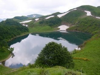 Сочинский парк делится на 5 функциональн