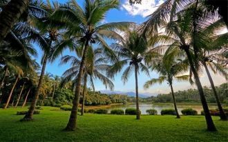Тропический ботанический сад Синлун