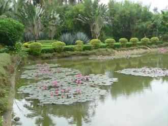 Создана целая система озер, в которых ра