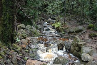 Ботанический сад Кирстенбош.