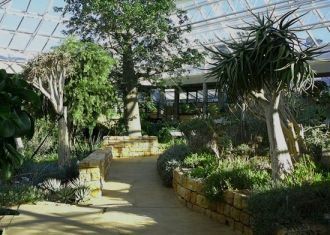 Современный ботанический сад Кирстенбош 