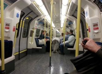 Внутри вагона Лондонского метро.