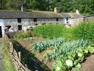 Прялка. Огород.