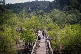 Круговой маршрут по джунглям протяжённос
