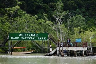 Растительность национального парка Бако 