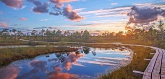 На западе парка Кемери развернулись песч