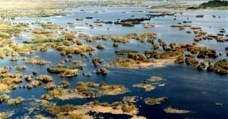 Сегодня на месте национального парка жив