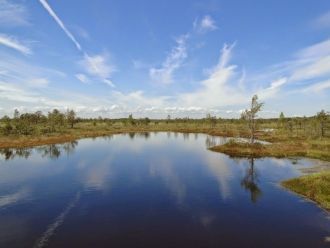 Здесь можно увидеть следы траншей и клад