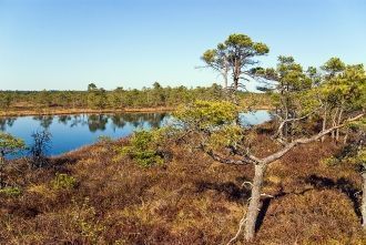 Национальный парк Кемери включает в себя
