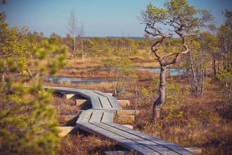 Дюны имеют причудливые формы и очертания
