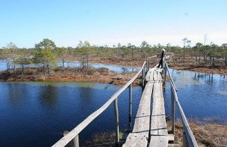 Растительный мир Кемери весьма разнообра