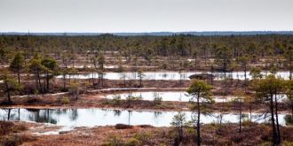 Площадь парка – 38165 га, из них 1954 га