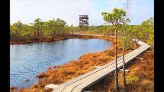 В парке можно наблюдать дюны и чудной кр