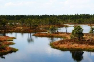 Национальный парк Кемери является национ