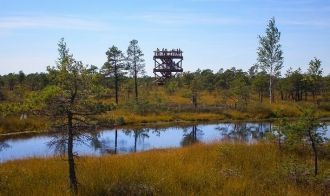 Основную часть парка занимают леса и бол